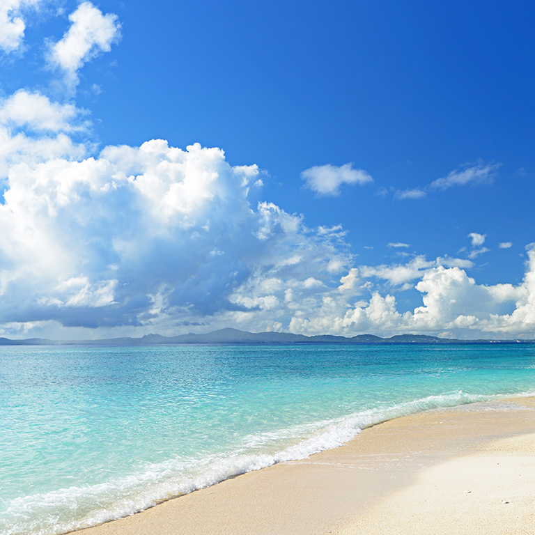 一年中暖かく海に囲まれている