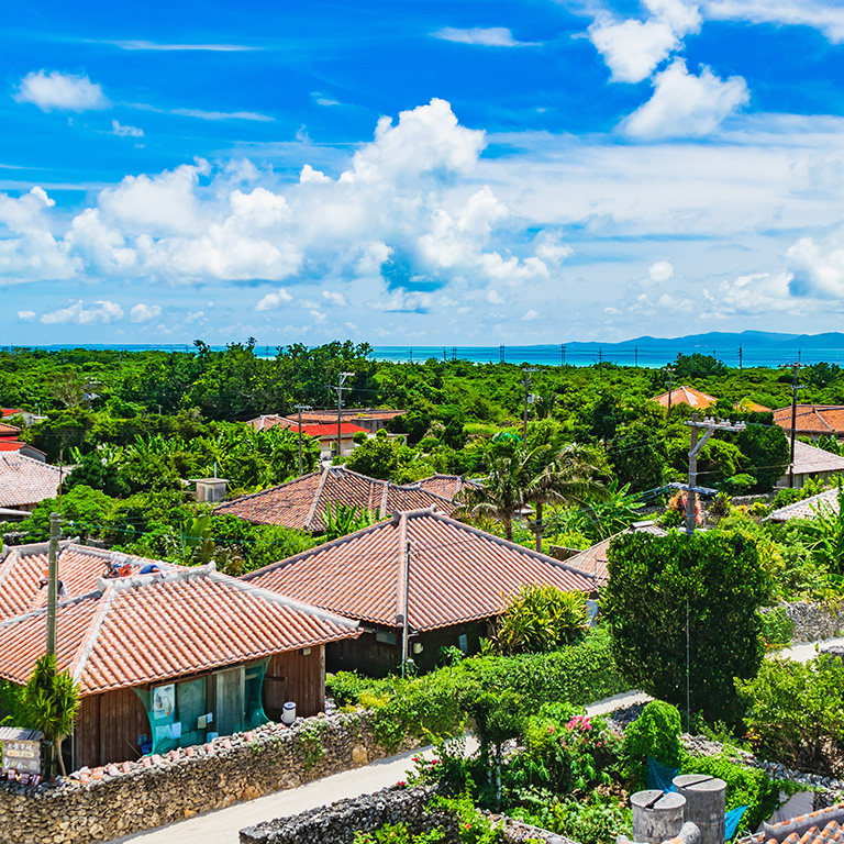 知っておきたい環境と文化