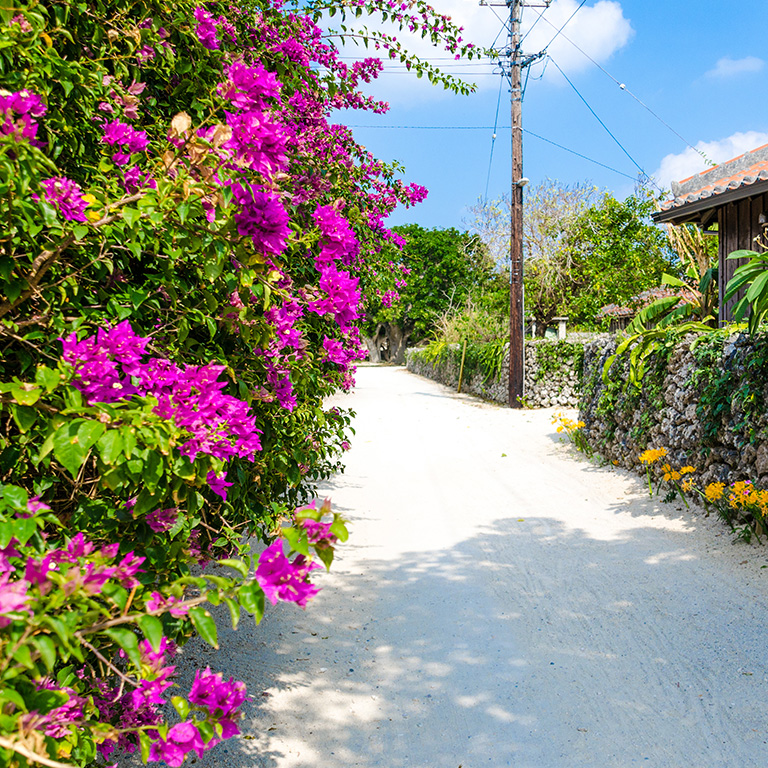 物価は高い？安い？生活費が上がる要因と節約術